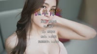 陈慧娴 - 孤单背影 (DJ阿福 ProgHouse Mix粤语女)A0写真