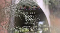 刘嘉亮 - 你到底爱谁 (DJ阿超 ProgHouse Mix国语男)A0写真