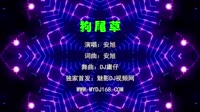 安旭 - 狗尾草 (DJ庸仔 2020 Electro Mix国语男)A0VJ