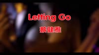 蔡健雅 - Letting Go(Dj细霖 FunkyHouse Mix国语女)