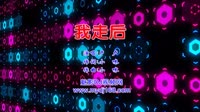 卢卢 - 我走后(Dj7索 Electro Mix国语女)