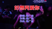 潘广益 - 好想再爱你(Dj小猪 FunkyHouse Mix国语男)