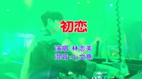 林志美 - 初恋(Dj文意 FunkyHouse Mix粤语女)