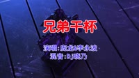 庞龙&李永波 - 兄弟干杯(Dj晓乃 Electro Mix国语男)