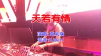袁凤瑛 - 天若有情 (DjDell ProgHouse Mix粤语女)