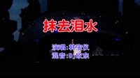 韩宝仪 - 抹去泪水(Dj欧东Electro Mix国语女)