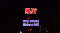 陈雅雯 - 黑街(Dj夜猫 ProgHouse Mix粤语女)
