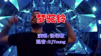 张明敏 - 梦驼铃(DjYoung Electro Mix国语男)