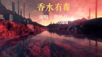 147015-胡杨林 香水有毒(DJ瘦仔 FunkyHouse Mix 国语女)[www
