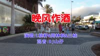 L桃籽&周林枫&三楠 - 晚风作酒(Dj山仔 FunkyHouse Mix国语女)