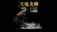 王力宏 - 天地龙鳞（ DJ赫赫 ProgHouse Mix 2022 ）