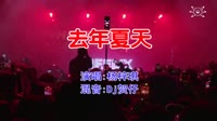 杨梓琪 - 去年夏天(Dj贺仔 Electro Mix国语女)