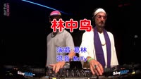 葛林 - 林中鸟(McYy Electro Mix国语男)v3