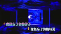 王贰浪 - 像鱼ARS DJ阿奇Remix(30) 