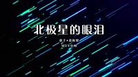 张栋梁 - 北极星的眼泪(Dj小嘉 ProgHouse Mix国语男) 