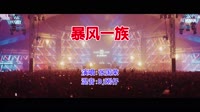 张国荣 - 暴风一族(Dj刚仔 Electro Mix粤语男)