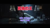 海来阿木 - 孤独的王(Dj夜猫Music ProgHouse Mix国语男)