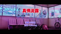 张学友 - 真情流露(DjChotto ProgHouse Mix粤语男)v2