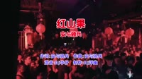 安与骑兵 - 红山果(Dj华仔 Electro Mix国语女)
