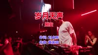别安 - 岁月无声(Dj阿柳 FunkyHouse Mix粤语男)