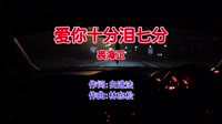 裘海正 - 爱你十分泪七分(DjNiko Electro Mix国语女)