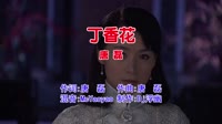 唐磊 - 丁香花(McYaoyao Electro Mix国语男)v2