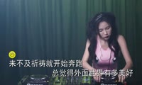 葛林 - 林中鸟 (DJ十三 Extended Mix国语男)A0打碟
