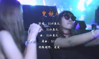 DJ小鱼儿 - 黑桃A (DjA5 Electro Mix国语男)A0酒吧