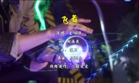 王冰洋 - 飞舞 (Dj阿B FunkyHouse Mix国语女)A0日韩