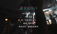 DJ小鱼儿 - 最美的伤口 (Dj阿福 ProgHouse Mix国语男)A2酒吧