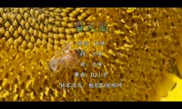 汪峰 - 春天里 (DJ小罗 Electro Mix国语男)A2风景